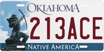 OK license plate 213ACE