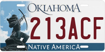 OK license plate 213ACF