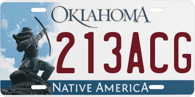 OK license plate 213ACG