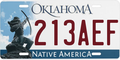 OK license plate 213AEF