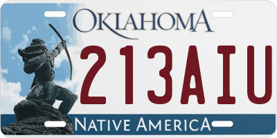 OK license plate 213AIU