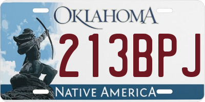 OK license plate 213BPJ