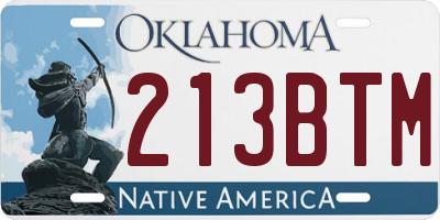 OK license plate 213BTM
