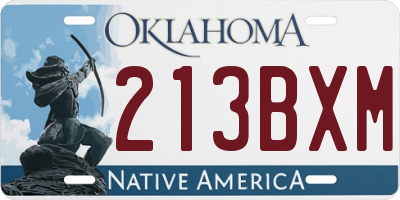 OK license plate 213BXM