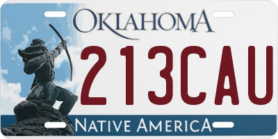 OK license plate 213CAU