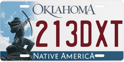 OK license plate 213DXT