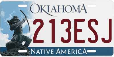 OK license plate 213ESJ