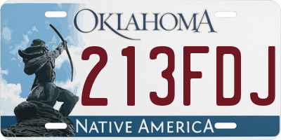 OK license plate 213FDJ