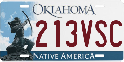 OK license plate 213VSC