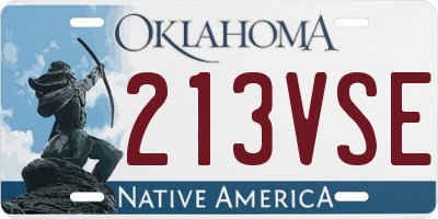OK license plate 213VSE