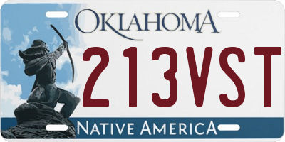 OK license plate 213VST