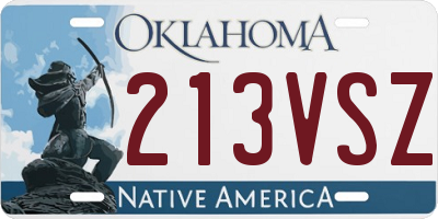 OK license plate 213VSZ