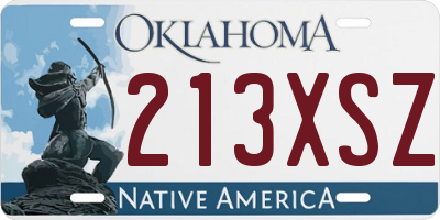 OK license plate 213XSZ