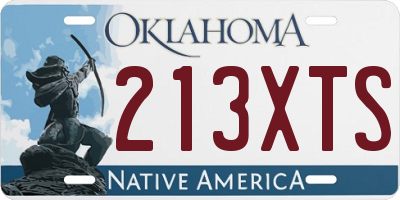 OK license plate 213XTS