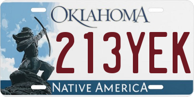 OK license plate 213YEK