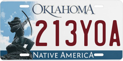 OK license plate 213YOA