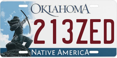 OK license plate 213ZED