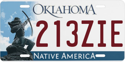 OK license plate 213ZIE