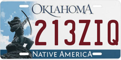 OK license plate 213ZIQ