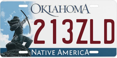 OK license plate 213ZLD