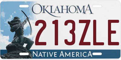 OK license plate 213ZLE