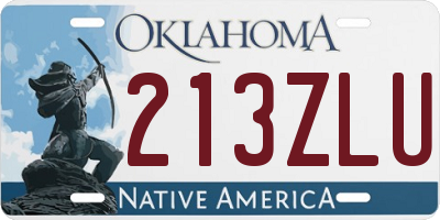 OK license plate 213ZLU