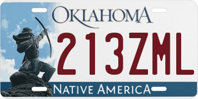 OK license plate 213ZML