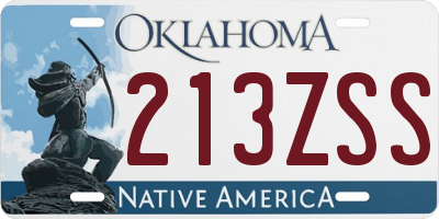 OK license plate 213ZSS