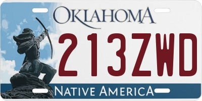 OK license plate 213ZWD