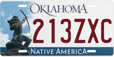 OK license plate 213ZXC