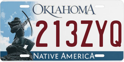 OK license plate 213ZYQ