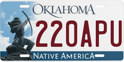 OK license plate 220APU
