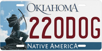 OK license plate 220DOG