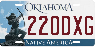 OK license plate 220DXG