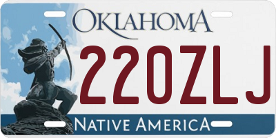 OK license plate 220ZLJ