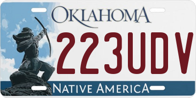 OK license plate 223UDV