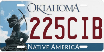 OK license plate 225CIB