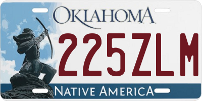 OK license plate 225ZLM