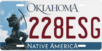 OK license plate 228ESG