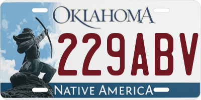 OK license plate 229ABV