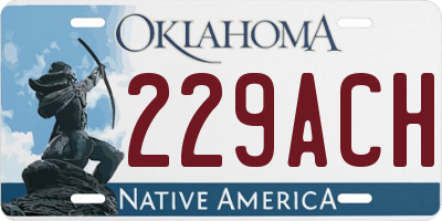 OK license plate 229ACH