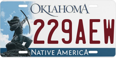 OK license plate 229AEW