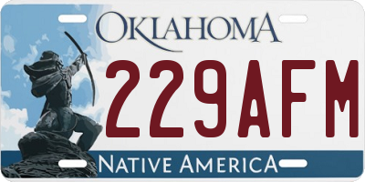 OK license plate 229AFM