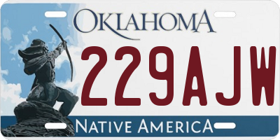 OK license plate 229AJW