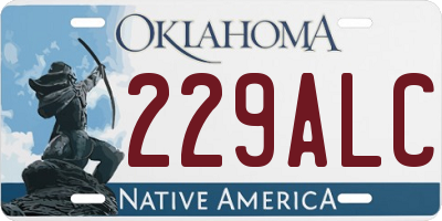 OK license plate 229ALC