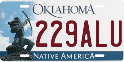 OK license plate 229ALU