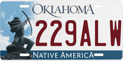 OK license plate 229ALW