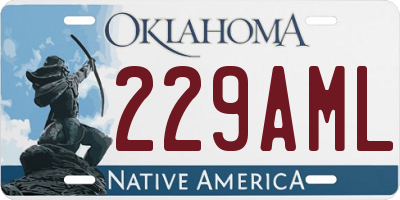 OK license plate 229AML