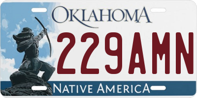 OK license plate 229AMN