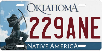 OK license plate 229ANE